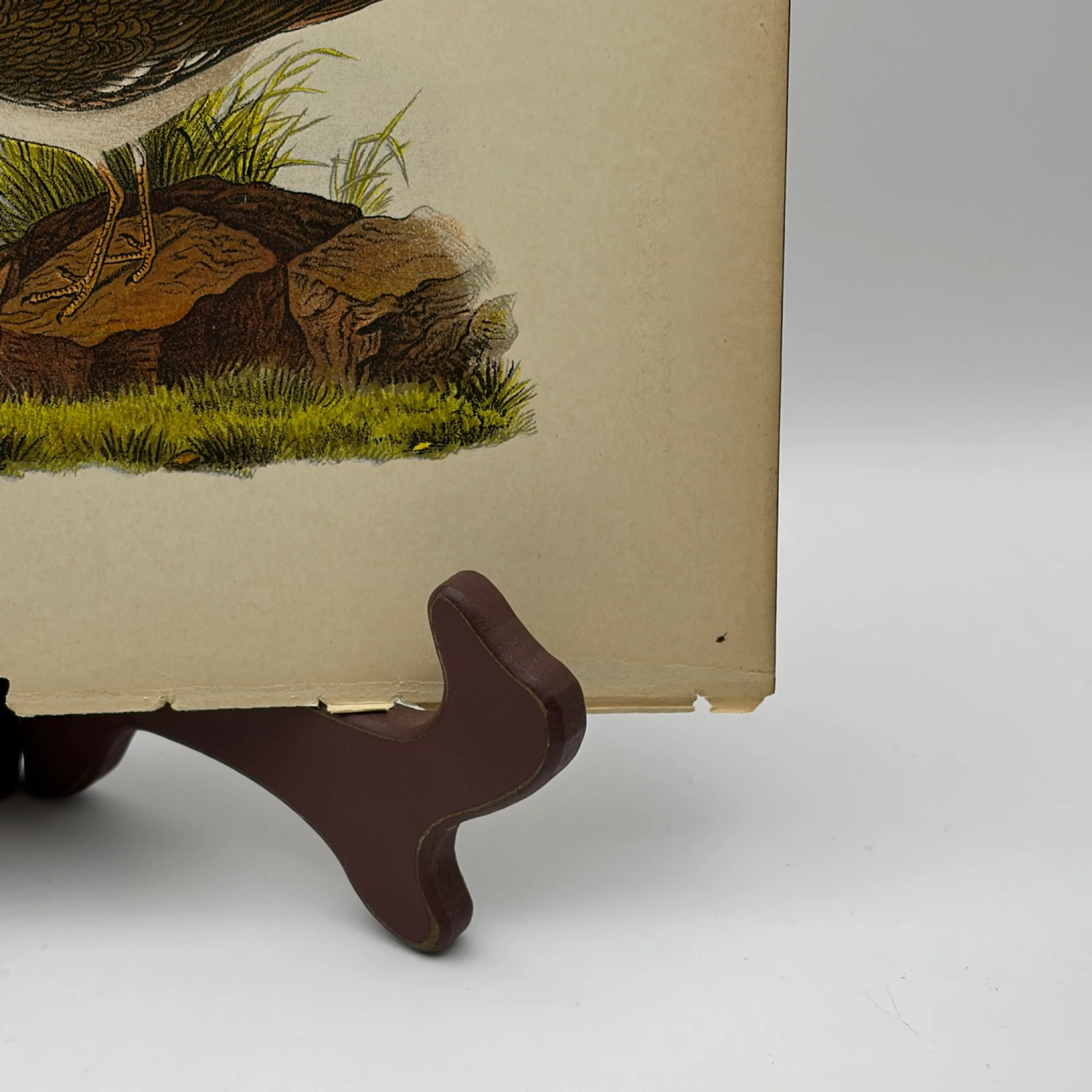 Image 4 of 9