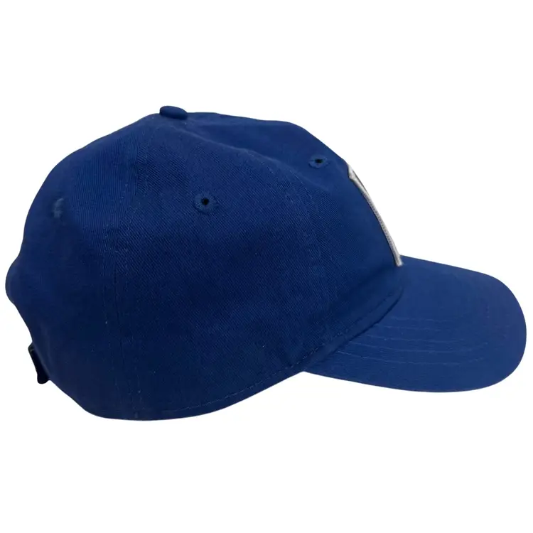 Realtree Fishing Brand Patch Logo Adjustable Blue Unisex Dad Cotton Hat