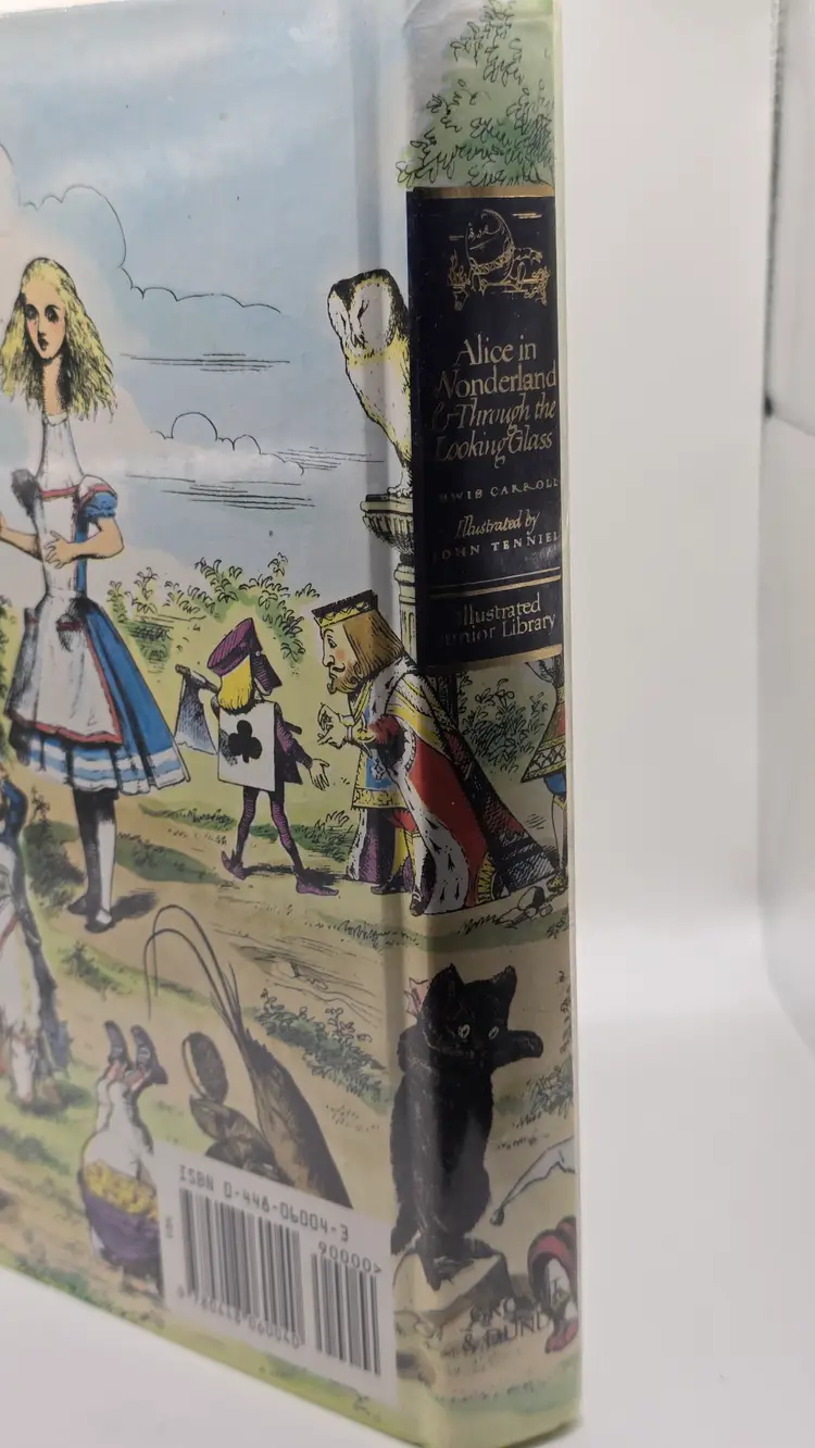 Alice in Wonderland & Through the Looking Glass – Illustrated Junior Library (1996 Hardcover)