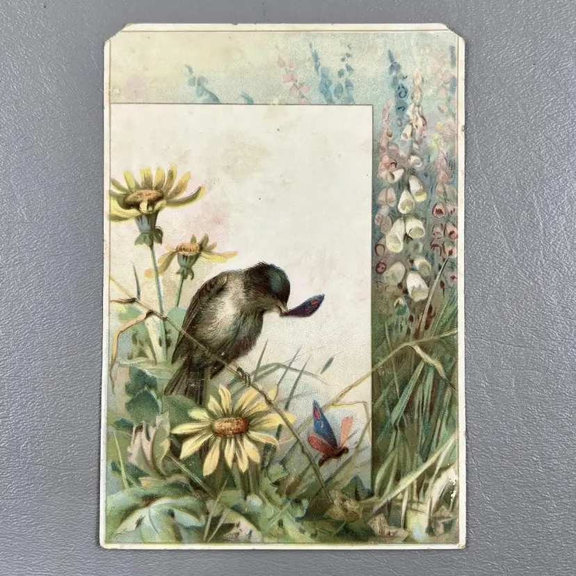 Victorian Trade Card Bird Butterfly Yellow Daisy Flowers Scene 4x6" Blank