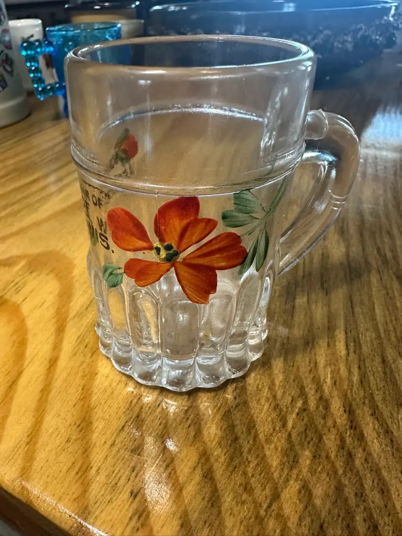 Hand Painted Glass Souvenir Beer Mug