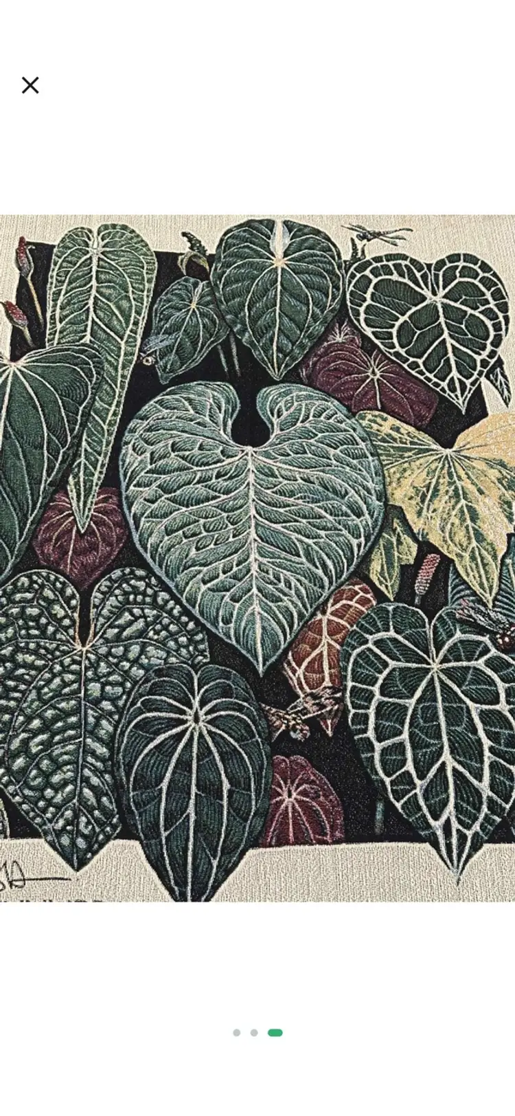 Anthurium | Woven Tapestry Blanket * 10% off $165 PLANTiMUS special