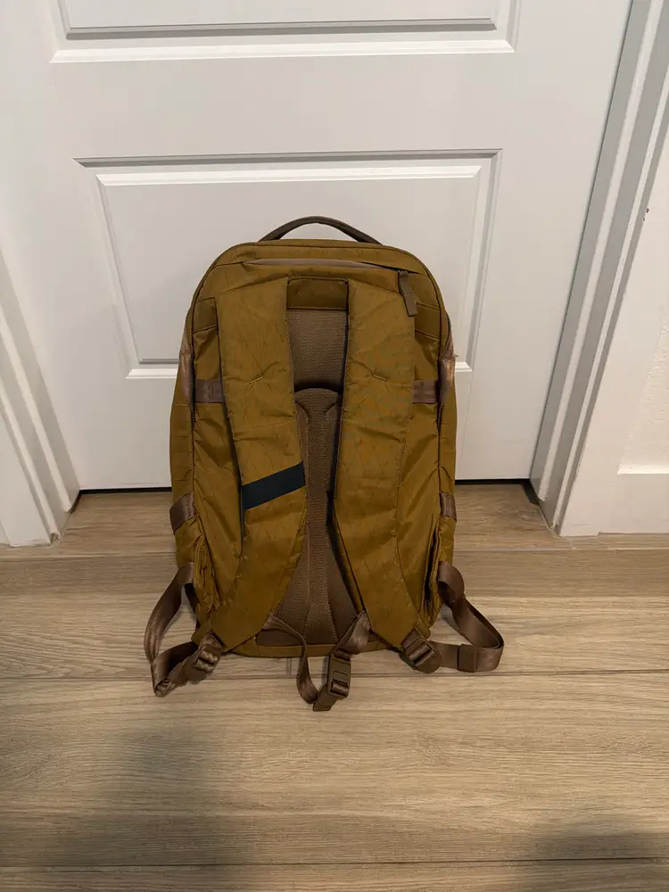 Able Carry Daily Plus