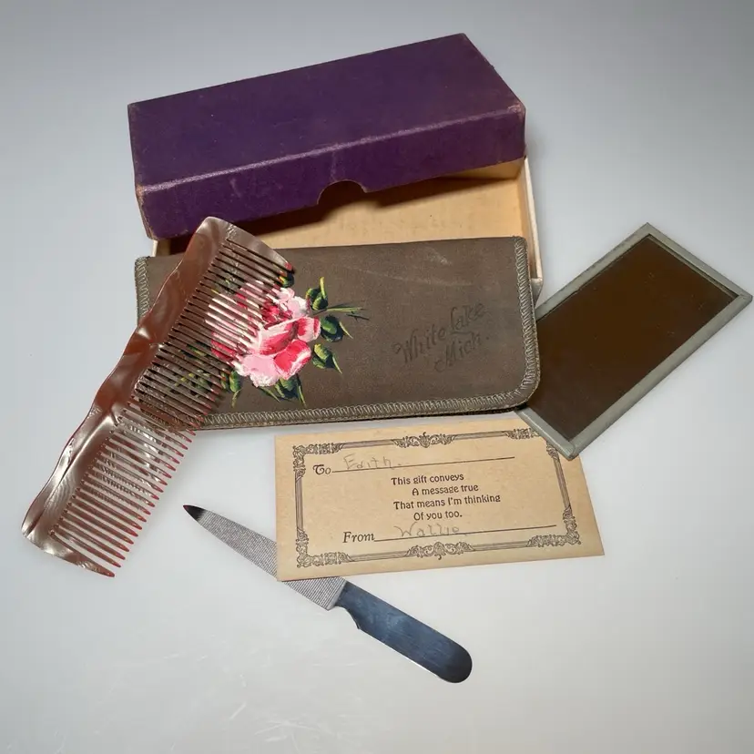 Vintage Pink Pearlized Celluloid Comb, Mirror & Case White Lake Michigan Souvenir + Ephemera