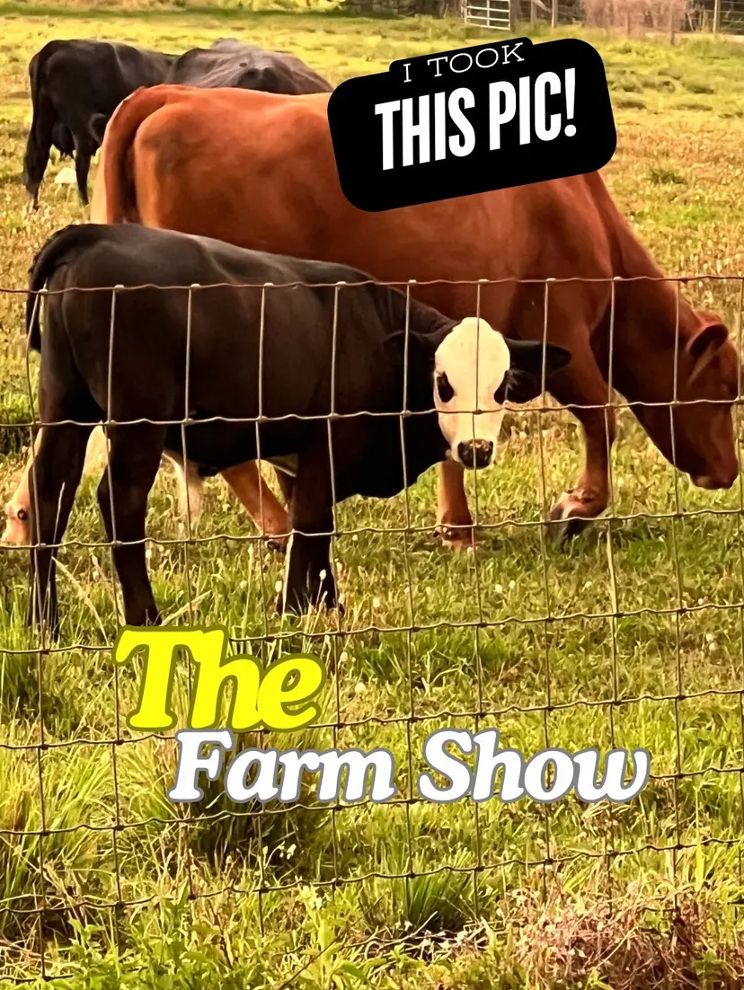Livestream thumbnail