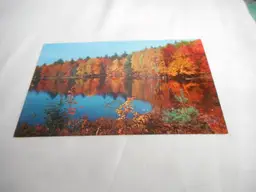 Vintage Postcard unposted Cedar Run Pennsylania Lake fall nature 1950s