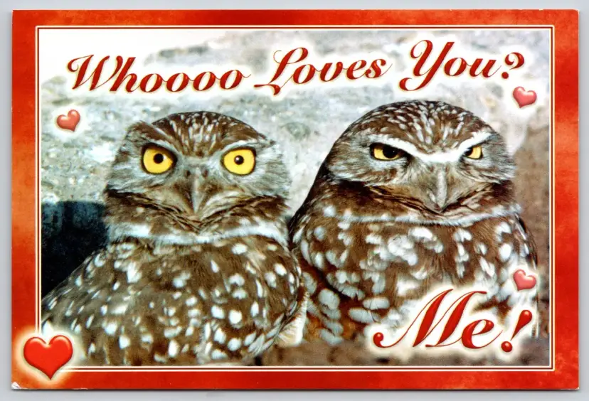Postcard Pair of Cute Owls Whoooo Loves You? Me! by Rulon E Simmons Romance - 12866