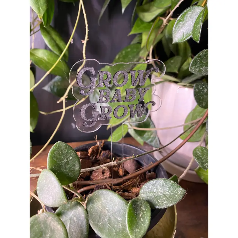 Grow Baby Grow Plant Stake