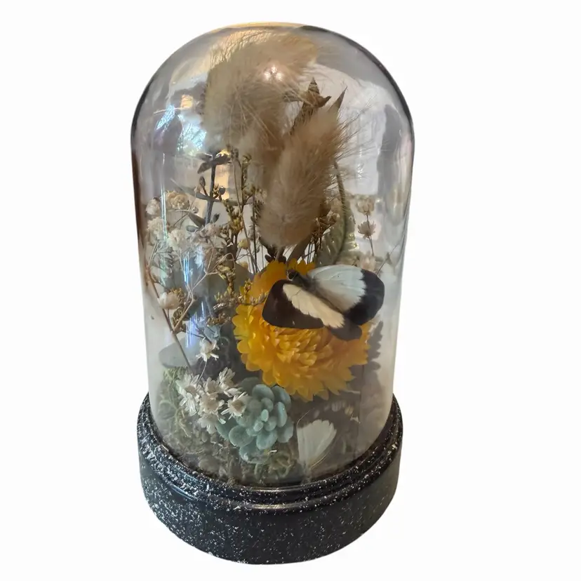 DRIED FLORAL CLOCHE Butterfly Speckled Black Vase