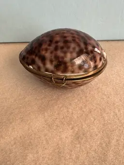 Vintage hinged cowrie shell trinket box with brass-colored metal fittings.