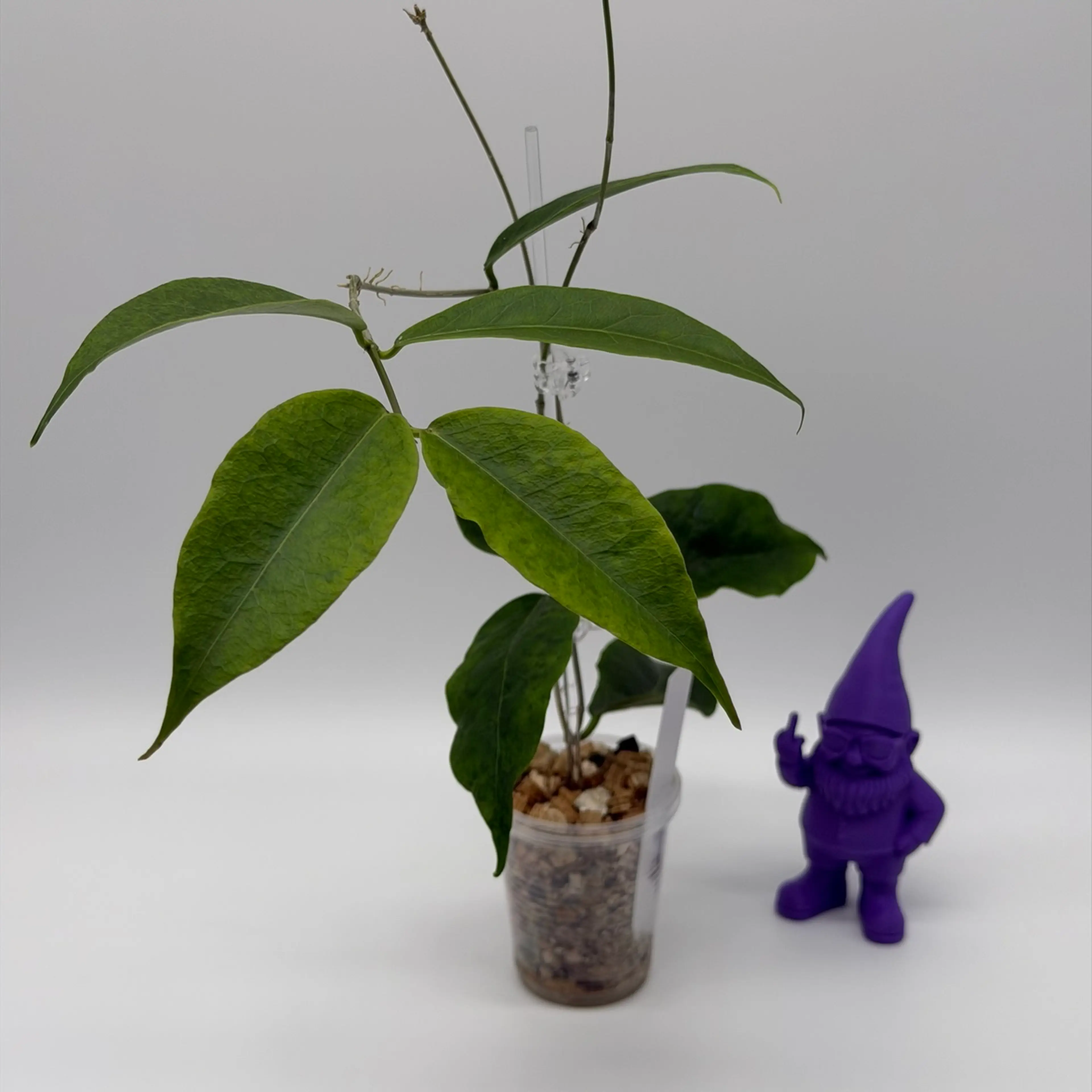 Image 2 of 3