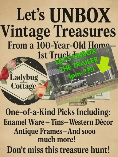 🐞 Continue: UNBOXING A TRAILER LOAD!! 🐞