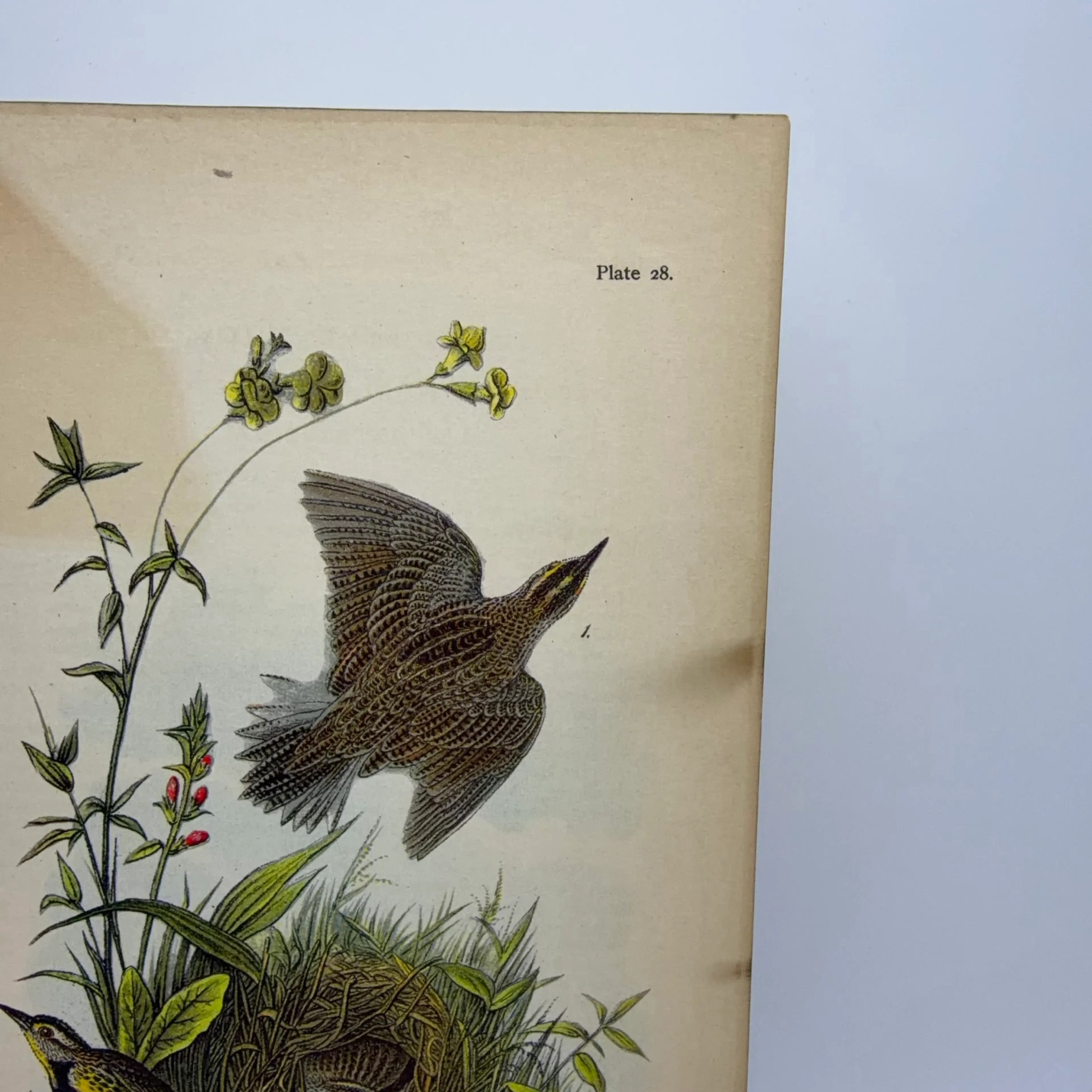 Image 4 of 9