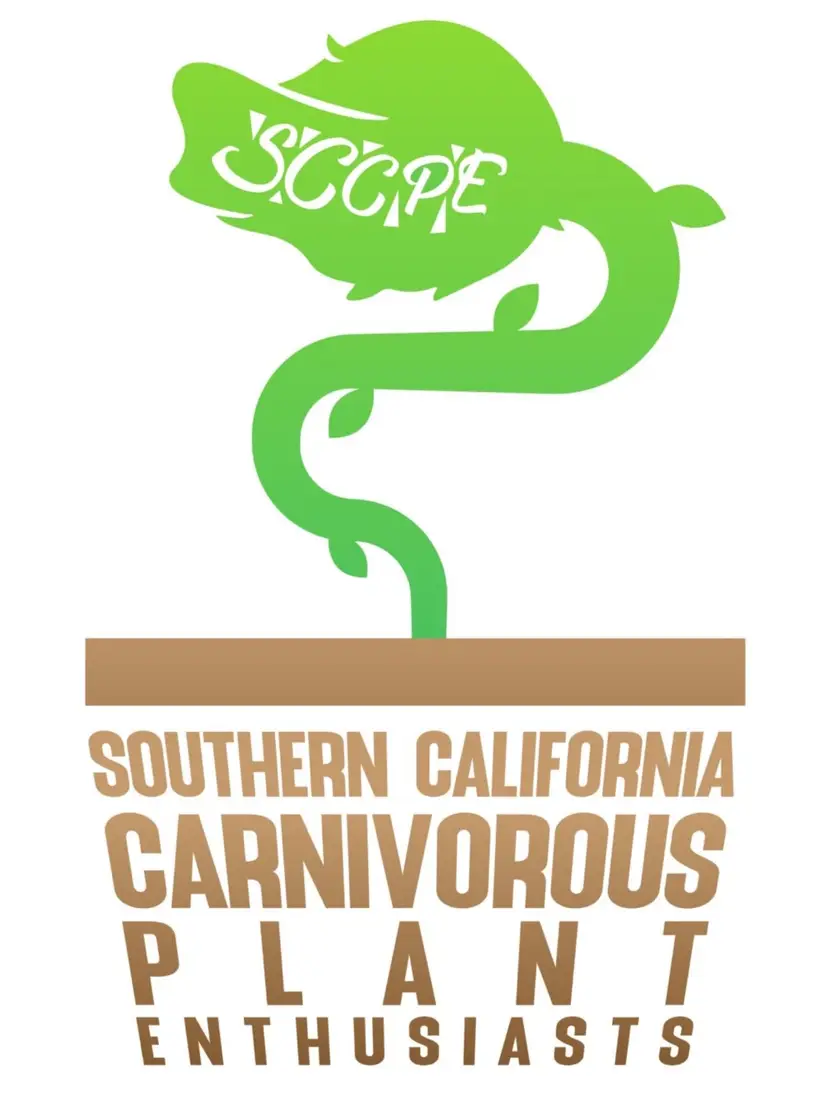 Livestream thumbnail