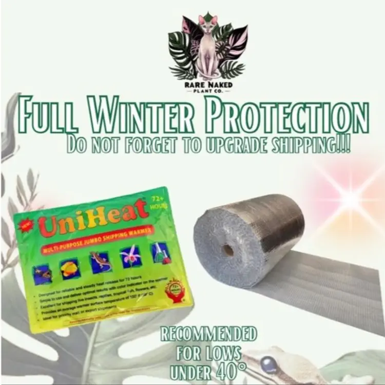 Full Winter Protection