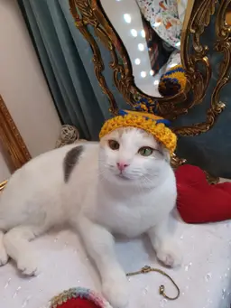 #03 1$ SB on necklaces, bracelets and or earrings