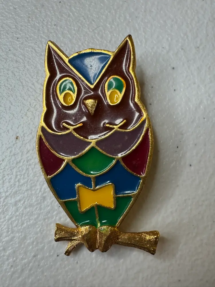 Vintage Large Enameled Owl Brooch