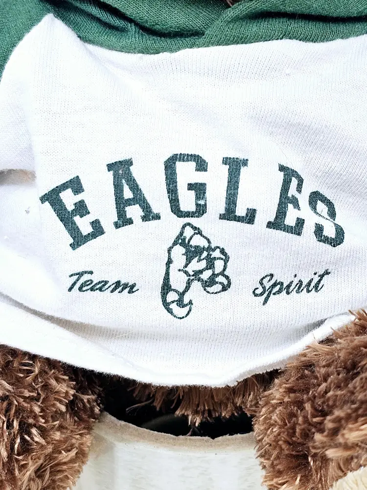 Philadelphia Eagles NFL Plush Bear with Hoodie My Town Kids VG Superbowl Ready