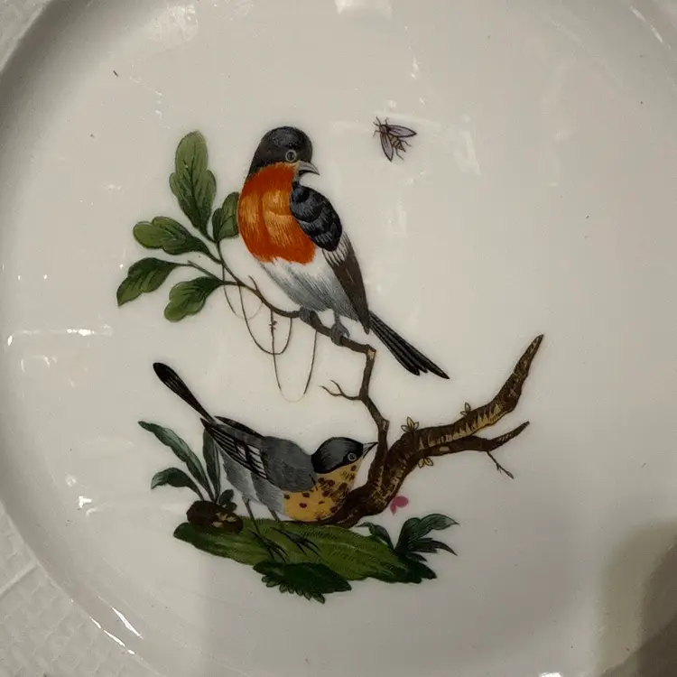 Vintage Ceralene Raynaud Limoges LES OISEAUX  Dinner Plate 10 3/4" EXCELLENT #3