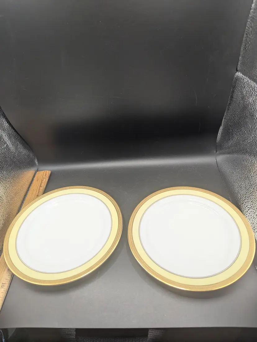 Vintage Set of 2 Luncheon Plates Lorenz Hutschenreuther Hastings Pattern