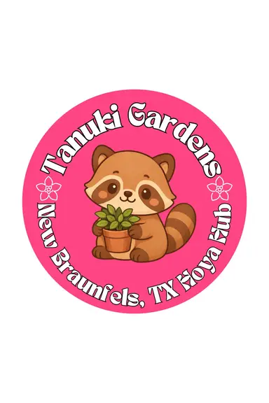 Tanuki Gardens | Hannah