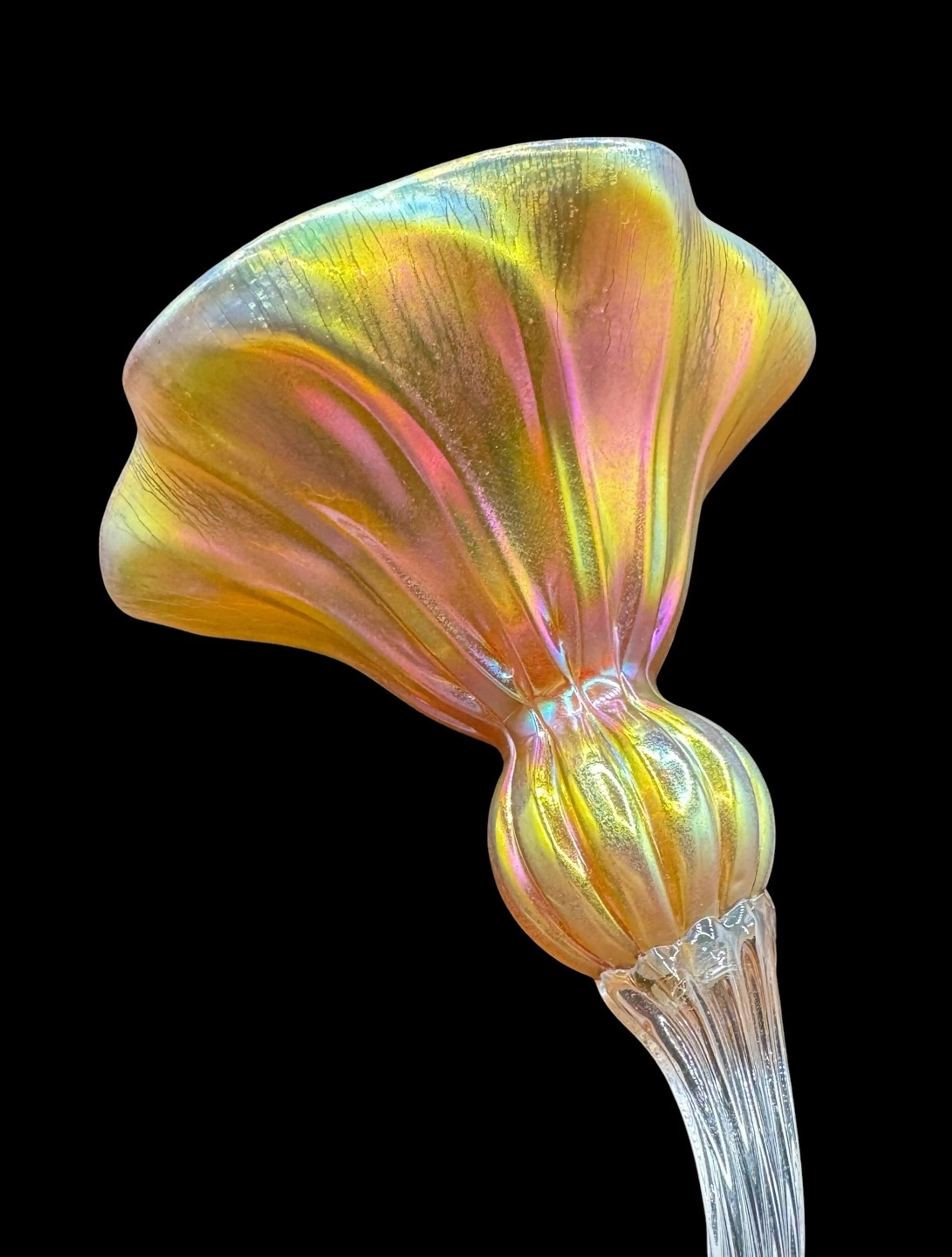 Image 5 of 8
