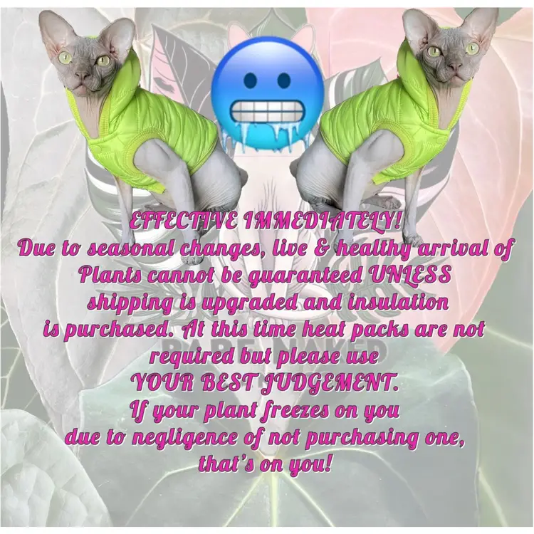 Seasonal Weather Policy Please Read