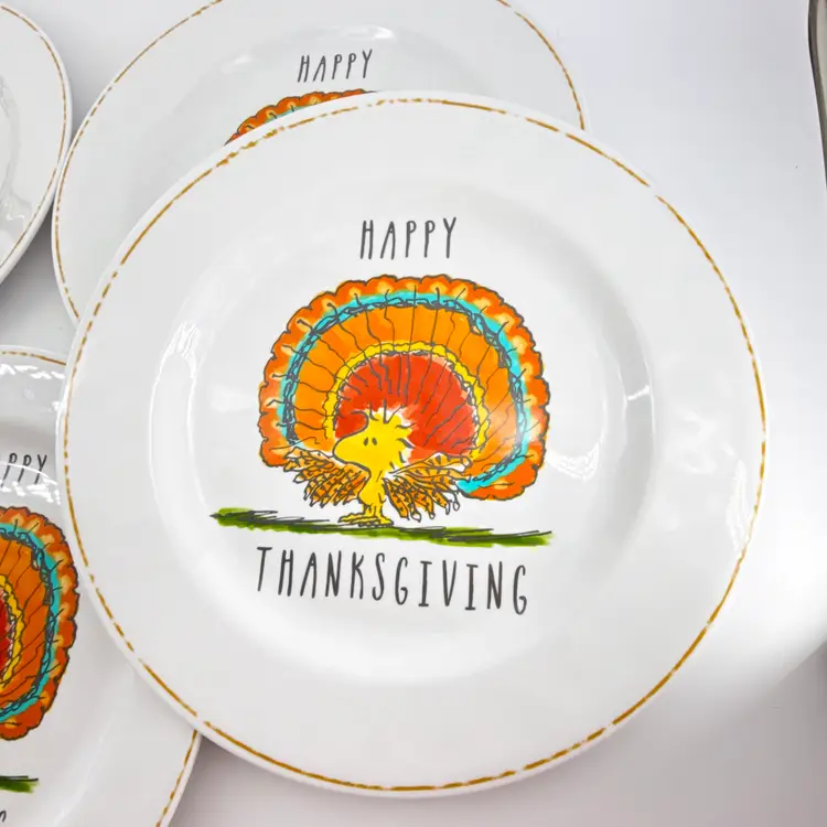 Peanuts Woodstock Pottery Barn Kids Happy Thanksgiving 11" Dinner Plates Melamine