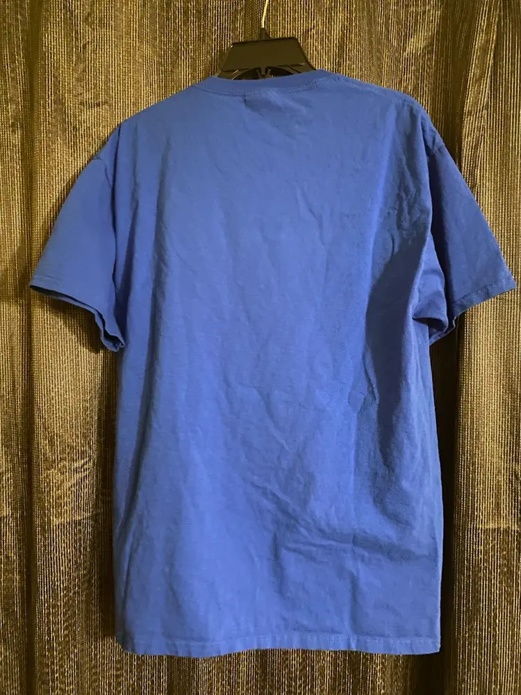 Fruit of the Loom Size Large Blue MLB Chicago Cubs World Champions 2016 T-Shirt