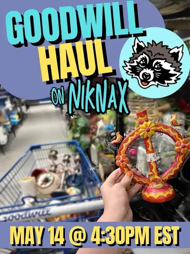 Straight From The Bags - GOODWILL HAUL