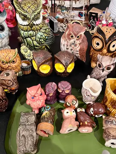 Owls, Owls, And More Owls!! 🦉🦉