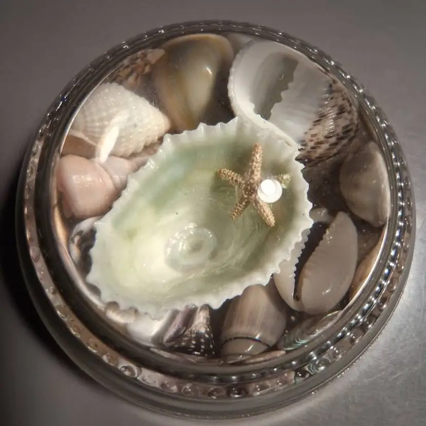 Vintage Lee Howard, NJ, Magnifying Domed Glass Seashell Paperweight (2nd version)