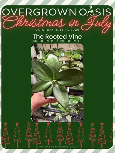Christmas In July!