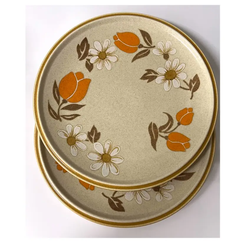Set of 2 Premiere Country Casual Nostalgia Stoneware Japan Floral Pattern Dinner Plates 10.5 in Diameter