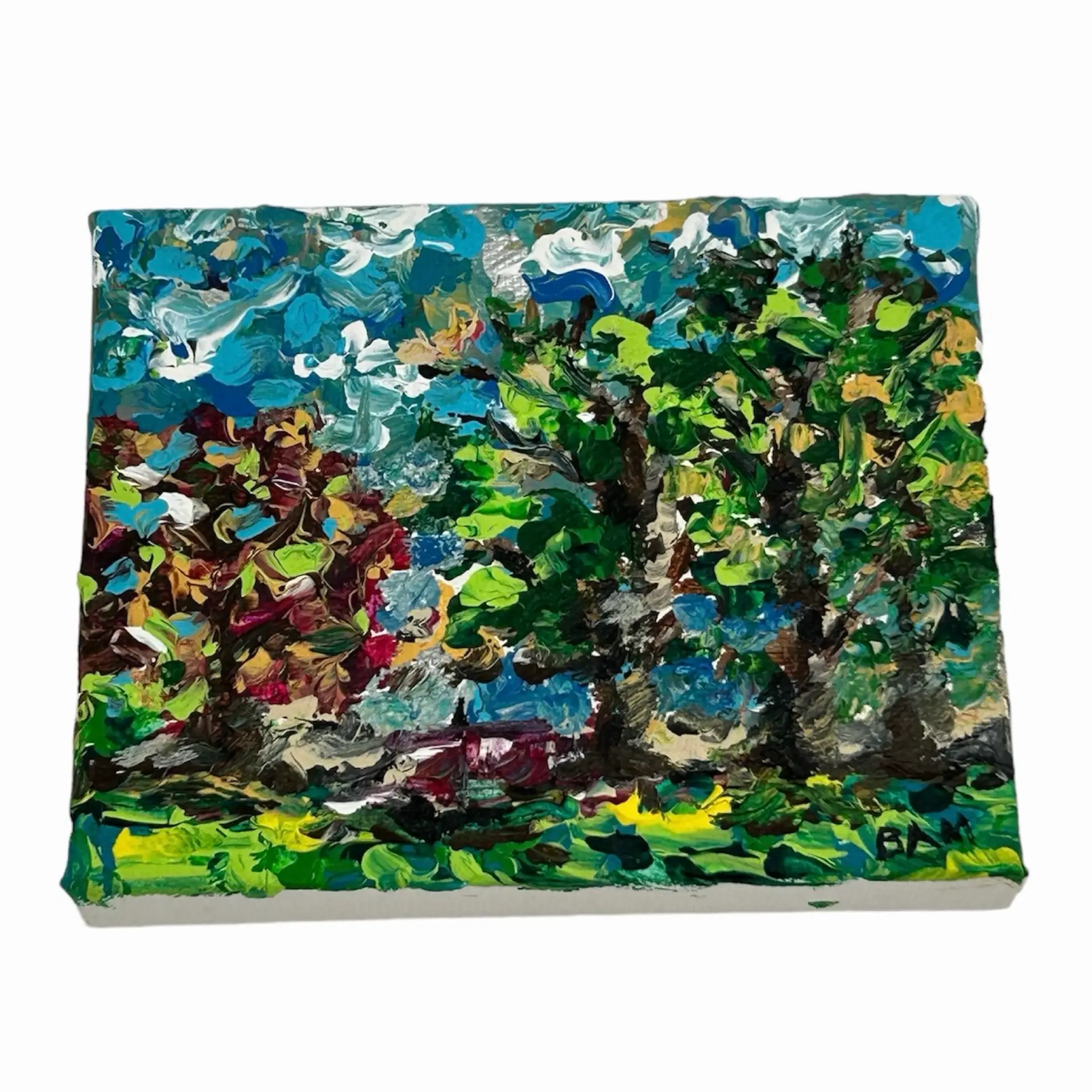 Image 1