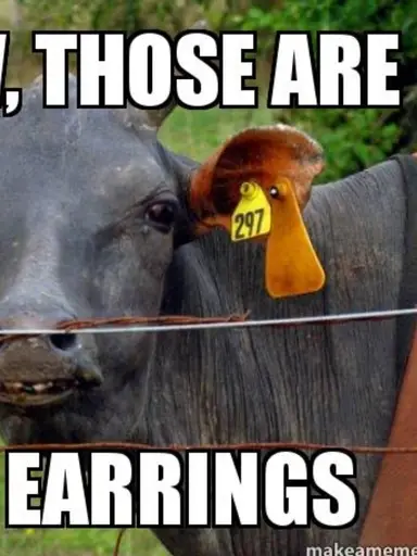 Those are Earrings....$5 Starts