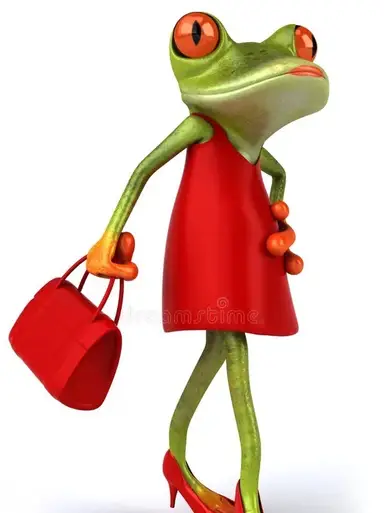 Purses/Bags & More Pop-up!