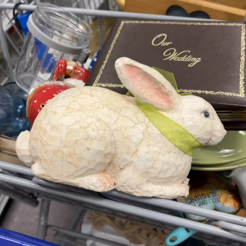 Bunny