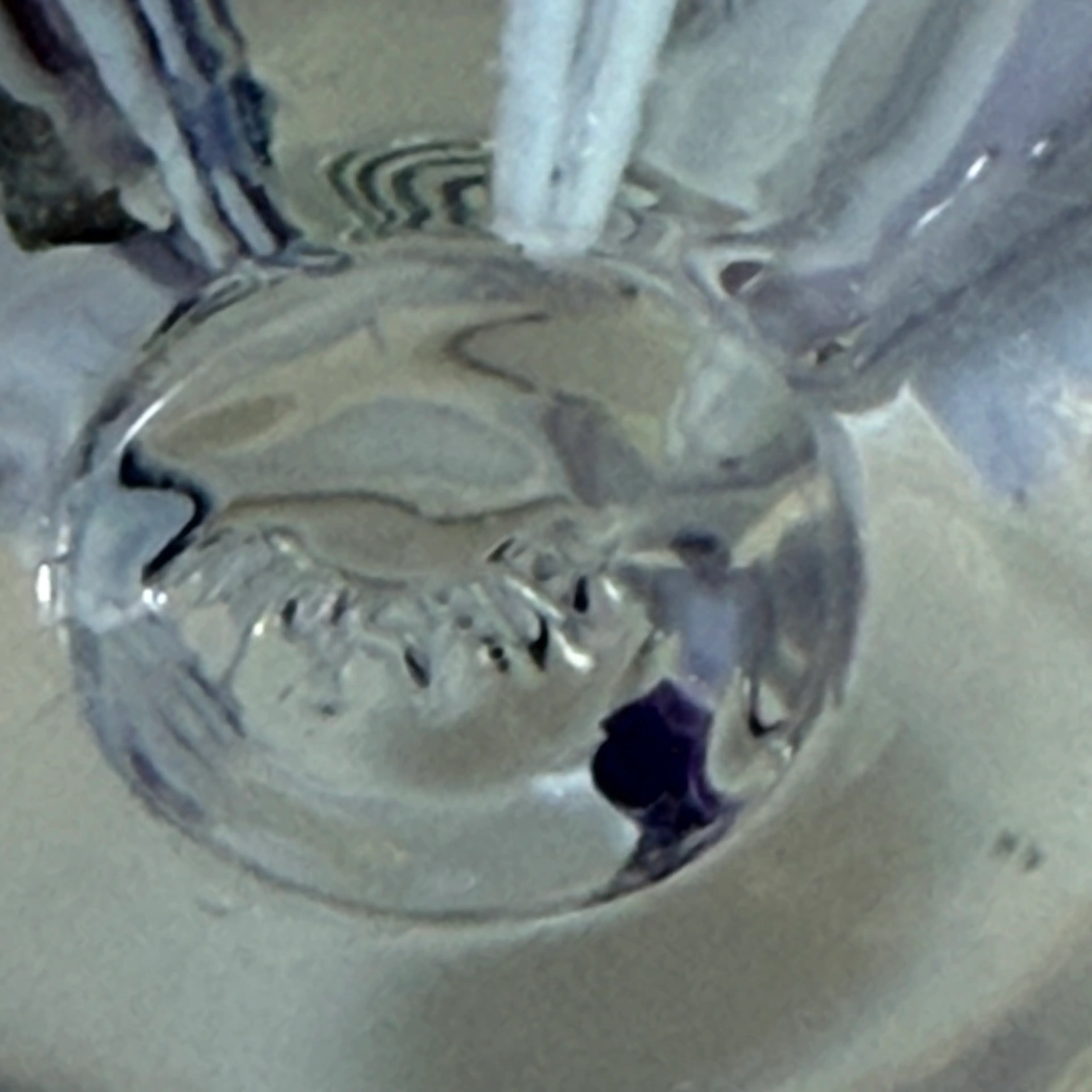 Image 5 of 5