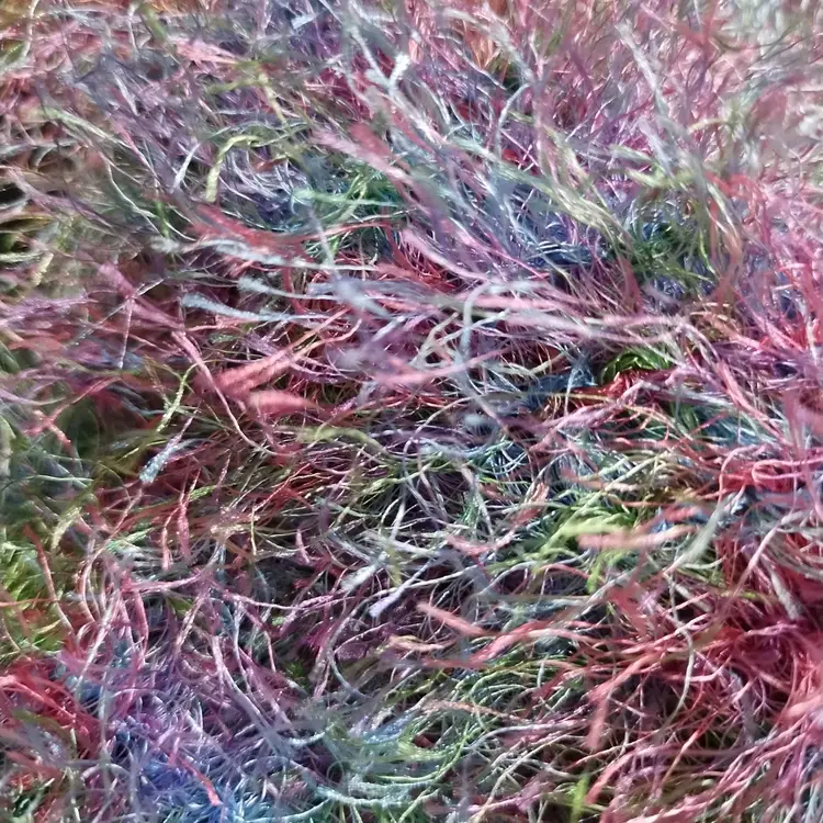 Made By Me! 42x5 Inch Long Fuzzy Yarn Rainbow Multicolor Knit Scarf "Tropical" Lion Brand Fun Fur