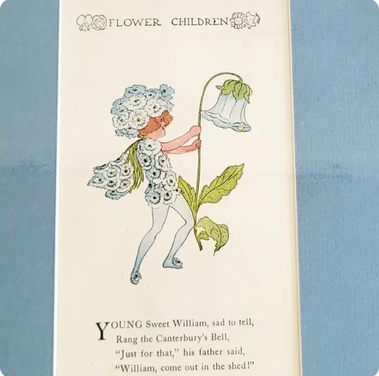 Antique Elizabeth Gordon Flower Children 1910 Page Sweet William