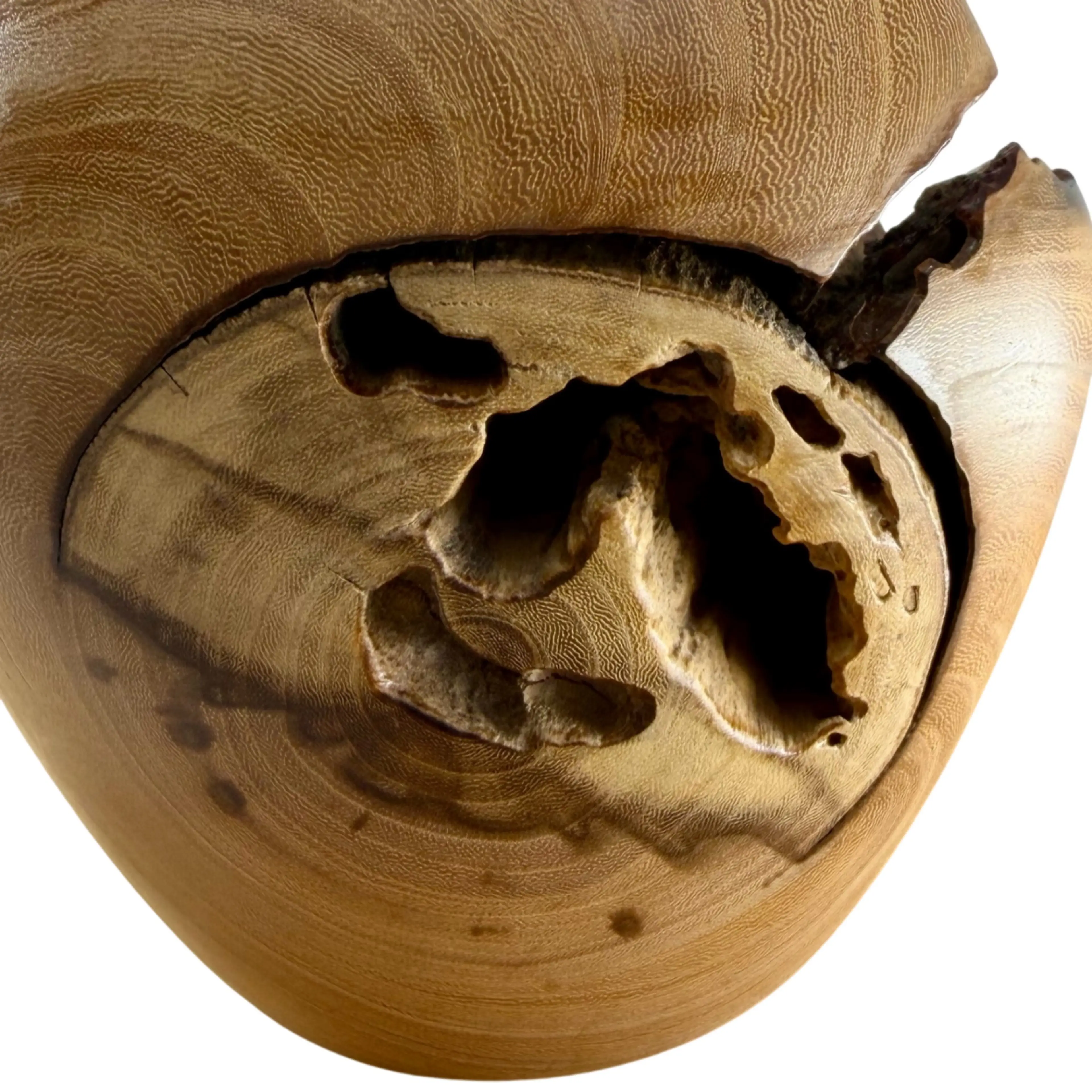 Image 2 of 13