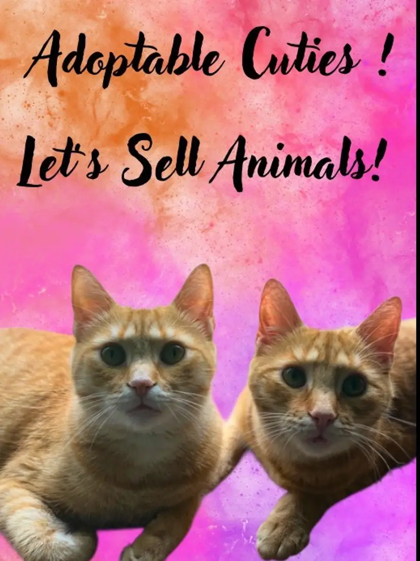 Livestream thumbnail