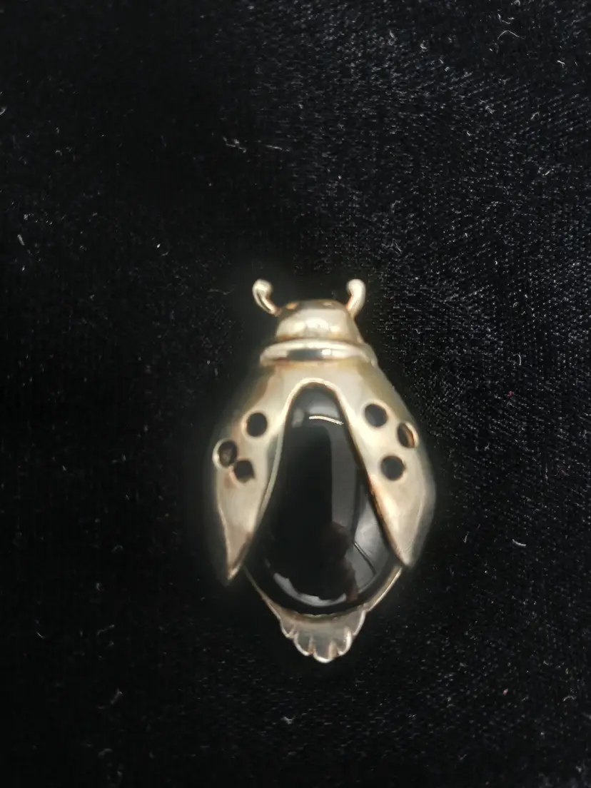 Ladybug Sterling and Onyx Brooch