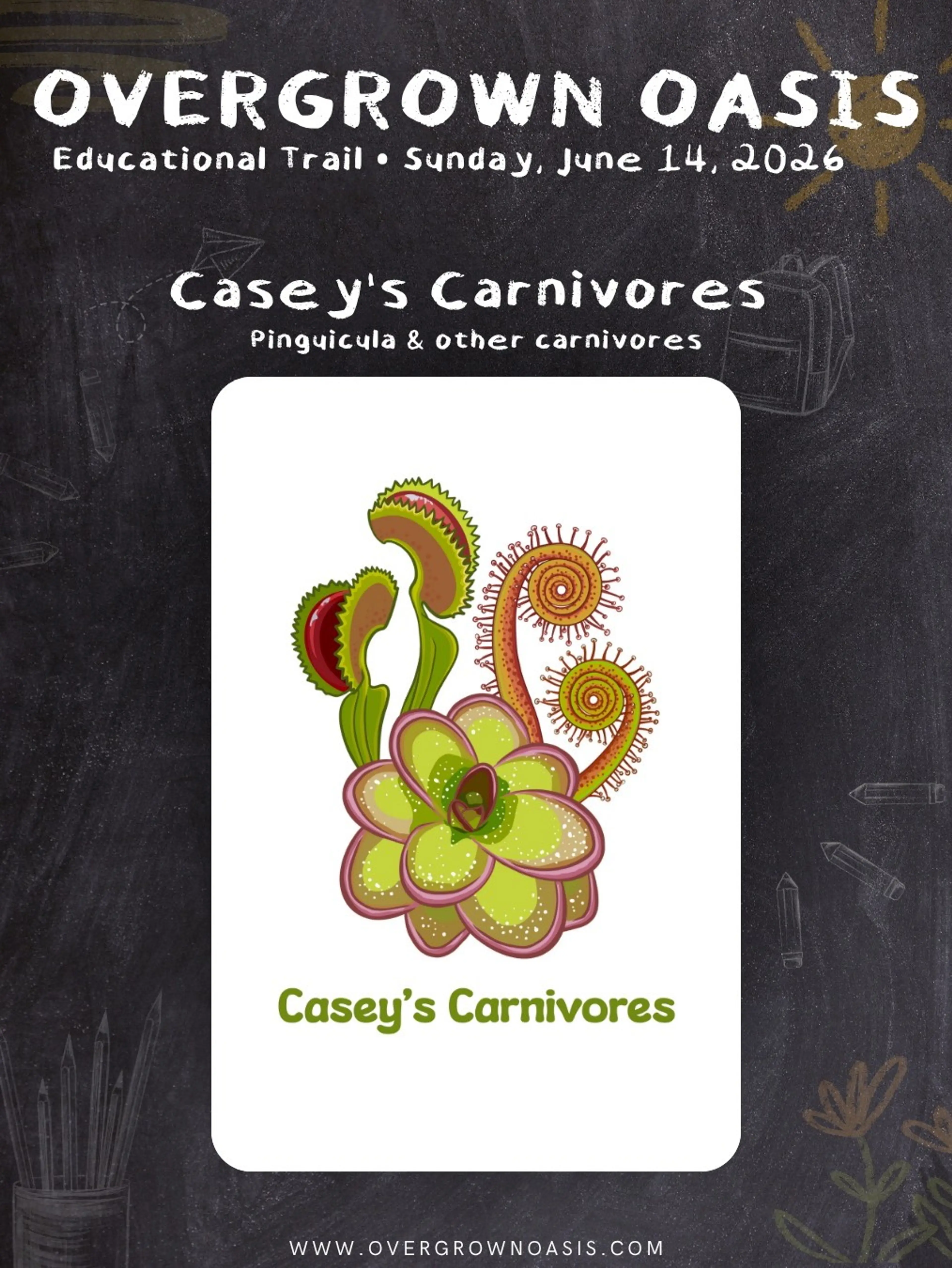 Pinguicula and other carnivores