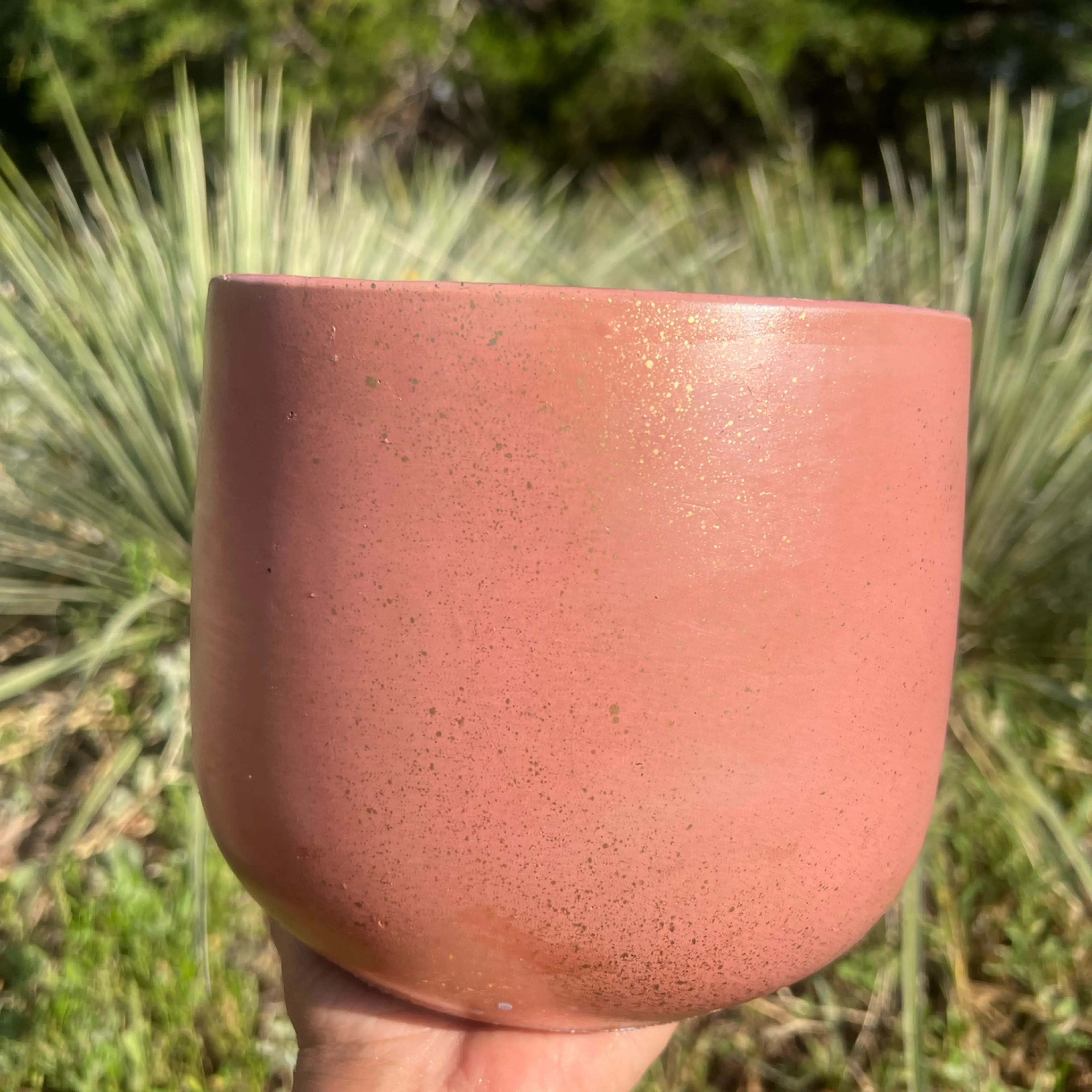 Image 2 of 2