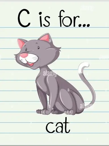 C is for CAT Alphabet Challenge