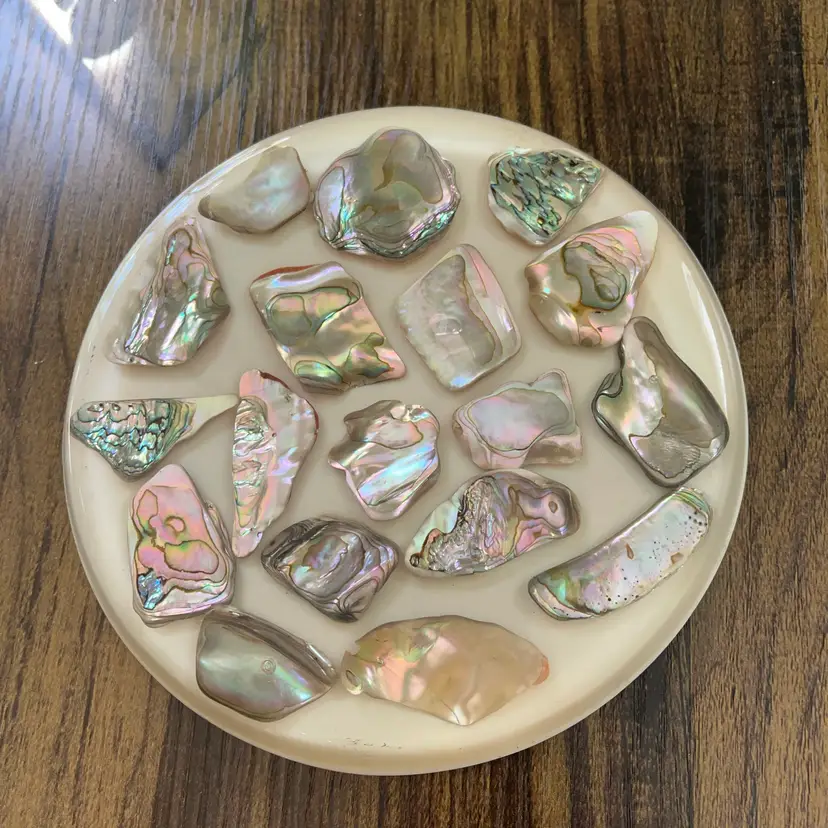 Vintage Lucite And Abalone Shell 6 inch Trivet White