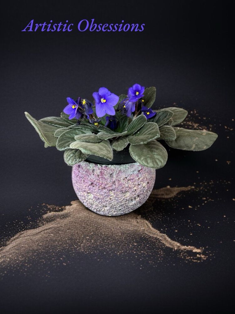 Moon vibes, textured cement pot