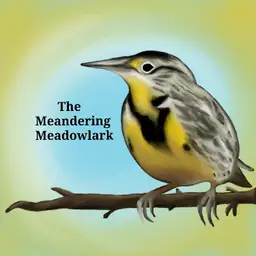 meanderingmeadowlark